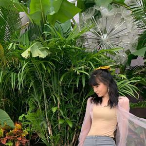 老七把白洁裤子脱了是哪一集
