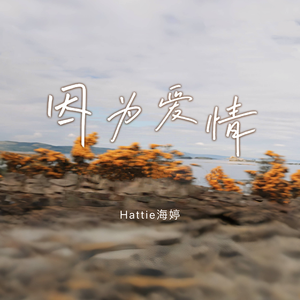 老七把白洁裤子脱了是哪一集
